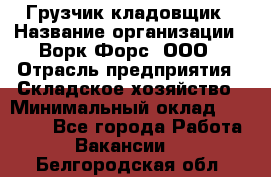 Грузчик-кладовщик › Название организации ­ Ворк Форс, ООО › Отрасль предприятия ­ Складское хозяйство › Минимальный оклад ­ 27 000 - Все города Работа » Вакансии   . Белгородская обл.